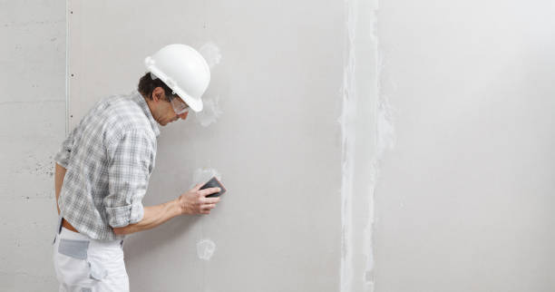 Trusted Raytown, MO Mold Removal Experts